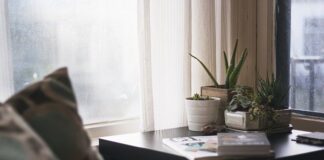 Jakie rośliny warto mieć w domu? fot. Pixabay.com