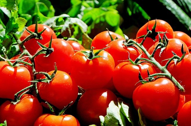Pomidory, fot Pixabay.com