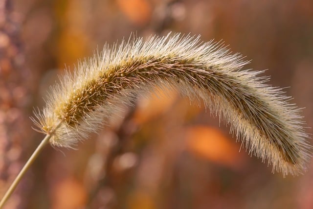 Czym uszczelnić głowice? Czym uszczelnić głowice?