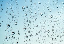 Czy można wędzić mokrym drewnem?