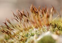 Co powiesić na ścianie z betonu?