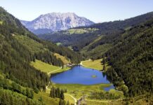 Jak się wędzi pstrąga?