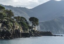 Ile kosztuje nowy vw polo?