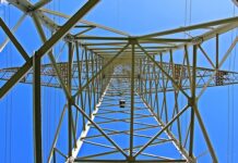 Jak długo trzymać matkę w izolatorze?