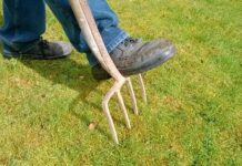 Czy wietrzyć ranę? Czy wietrzyć ranę?