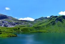 Jak się nazywa wysokie krzesło?