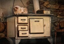 Czy można wędzić drewnem dębowym?