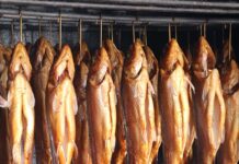 Jak zrobić najprostsza wędzarnię?