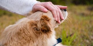 Jak wbić gwóźdź w ścianę?