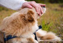 Czy trzeba usuwać gwóźdź śródszpikowy?