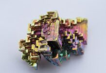 Jak się hoduje matki pszczele?