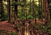 Dlaczego lustro czernieje? Dlaczego lustro czernieje?