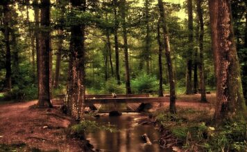 Dlaczego lustro czernieje?