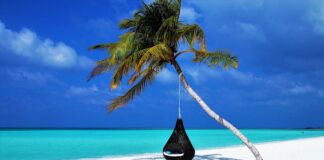 Jaki hamak kupić opinie? Jaki hamak kupić opinie?