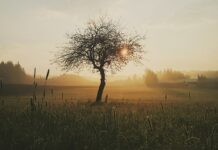 Jak długo goi się rana po gwoździu?