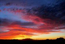 Ile kosztuje flokowanie? Ile kosztuje flokowanie?