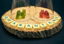 Jak izolować matki pszczele?