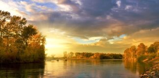 Jak Napompować koło w wózku? Jak Napompować koło w wózku?